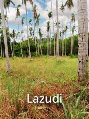 Ring-roadside land for sale Taling Ngam
