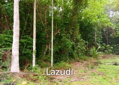 Large plot of land for sale Taling Ngam