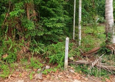 Large plot of land for sale Taling Ngam