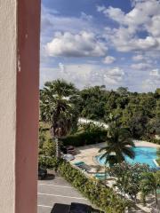 Balcony view overlooking a swimming pool surrounded by palm trees