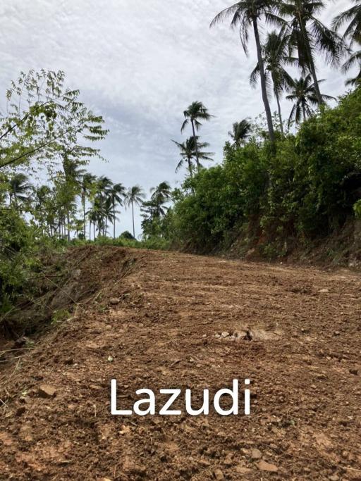 Large plot of Sea View land for sale Thong Khrut