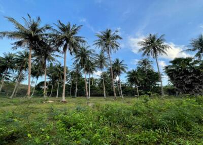 224 Sqm., 3 Beds, 4 Baths House listed for ฿ 11,500,000.