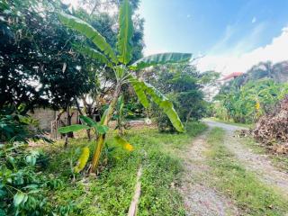 Land with House in Nong Mai Kaen for Sale