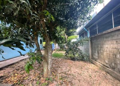 Land with House in Nong Mai Kaen for Sale