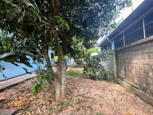 Land with House in Nong Mai Kaen for Sale