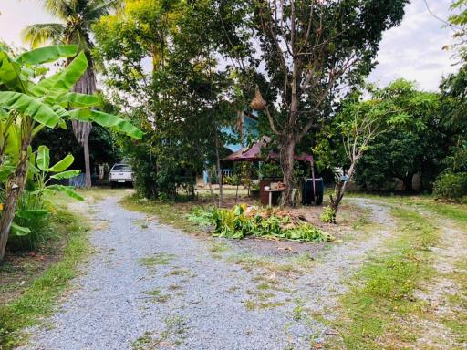 Land with House in Nong Mai Kaen for Sale