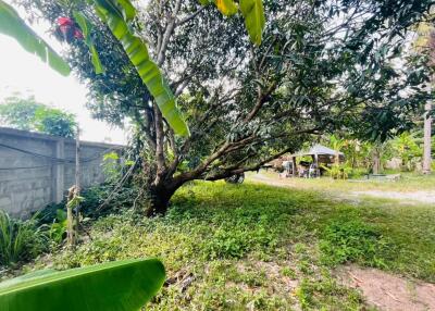 Land with House in Nong Mai Kaen for Sale