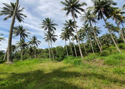 48,000 Sqm. Land listed for ฿ 100,000,000.