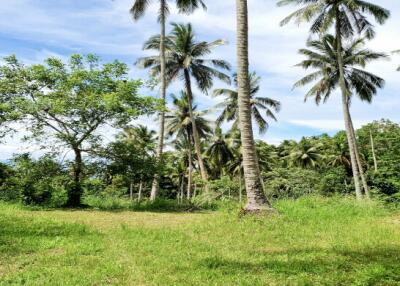 48,000 Sqm. Land listed for ฿ 100,000,000.