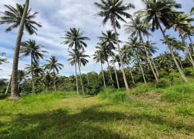 48,000 Sqm. Land listed for ฿ 100,000,000.