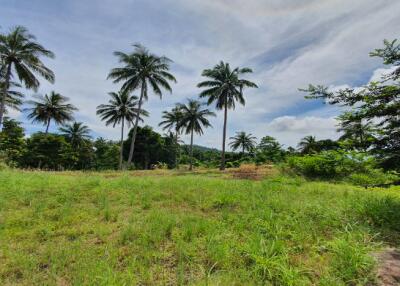 48,000 Sqm. Land listed for ฿ 100,000,000.