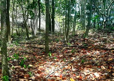 4,000 Sqm. Land listed for ฿ 24,000,000.