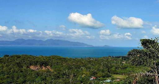 32,000 Sqm. Land listed for ฿ 60,000,000.