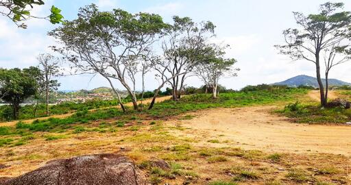 1,600 Sqm. Land listed for ฿ 12,000,000.