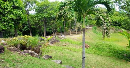 350 Sqm. Land listed for ฿ 3,500,000.
