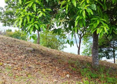 350 Sqm. Land listed for ฿ 3,500,000.