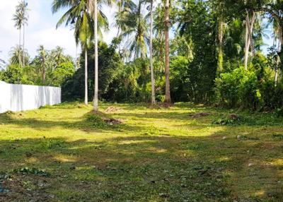1,600 Sqm. Land listed for ฿ 5,000,000.