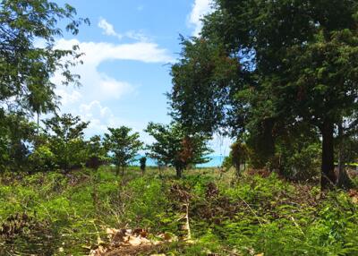5,203 Sqm. Land listed for ฿ 100,000,000.