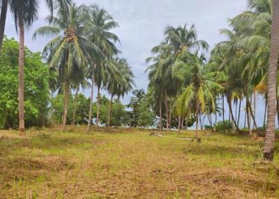 5,388 Sqm. Land listed for ฿ 55,000,000.