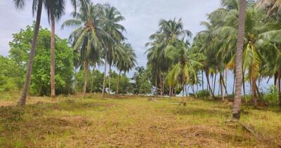 5,388 Sqm. Land listed for ฿ 55,000,000.