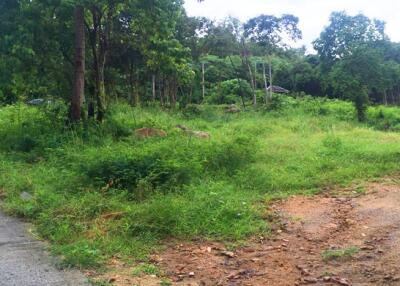 9,832 Sqm. Land listed for ฿ 5,500,000.