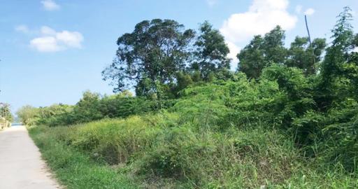 4,319 Sqm. Land listed for ฿ 13,500,000.