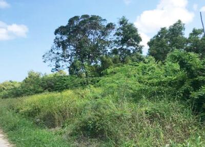 4,319 Sqm. Land listed for ฿ 13,500,000.