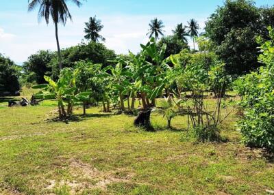 6,400 Sqm. Land listed for ฿ 30,000,000.