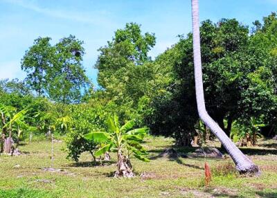 6,400 Sqm. Land listed for ฿ 30,000,000.