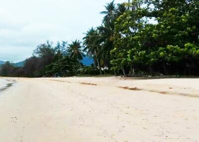 1,600 Sqm. Land listed for ฿ 36,000,000.