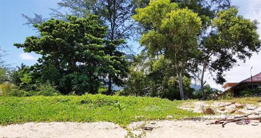 2,400 Sqm. Land listed for ฿ 55,000,000.