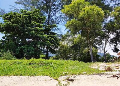 2,400 Sqm. Land listed for ฿ 55,000,000.