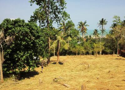 1,600 Sqm. Land listed for ฿ 6,200,000.