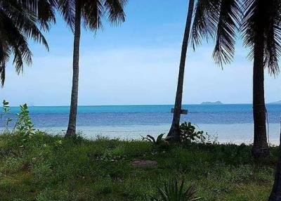 1,600 Sqm. Land listed for ฿ 24,000,000.