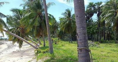 1,600 Sqm. Land listed for ฿ 24,000,000.