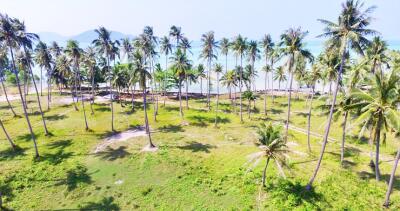 40,000 Sqm. Land listed for ฿ 300,000,000.