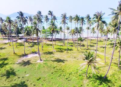 40,000 Sqm. Land listed for ฿ 300,000,000.