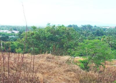 14,400 Sqm. Land listed for ฿ 6,500,000.