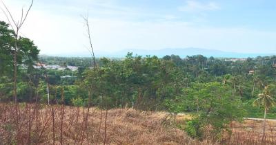 14,400 Sqm. Land listed for ฿ 6,500,000.