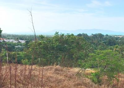 14,400 Sqm. Land listed for ฿ 6,500,000.