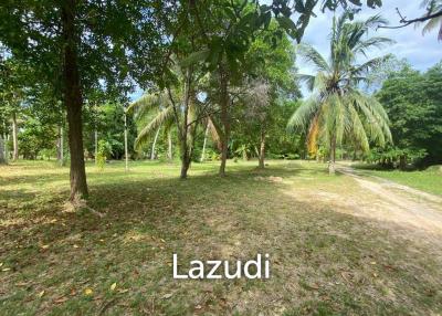 3,000 SQ.M LAND PLOT IN A PEACEFUL AREA