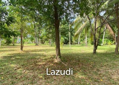 3,000 SQ.M LAND PLOT IN A PEACEFUL AREA