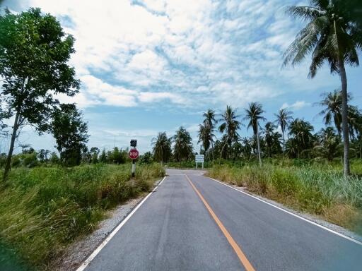 Large land in Pong area for sale