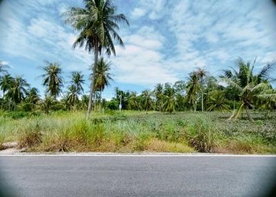 Large land in Pong area for sale