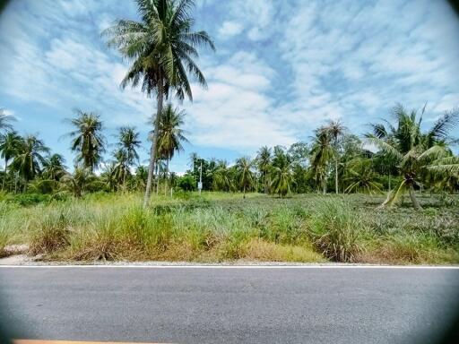 Large land in Pong area for sale