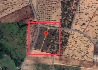 Large land in Pong area for sale