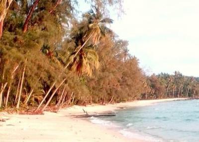 Beachfront land 53 Rai (84800 sq/m) in Koh Kood island for sale