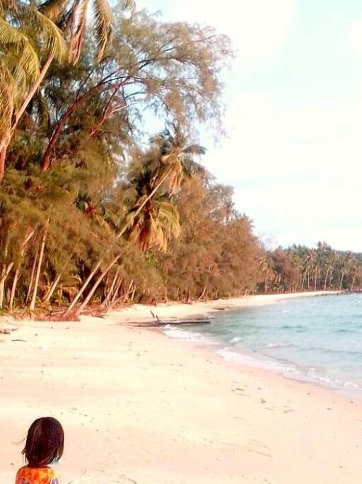 Beachfront land 53 Rai (84800 sq/m) in Koh Kood island for sale