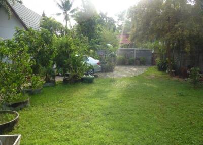 A single house with 2 small bungalows