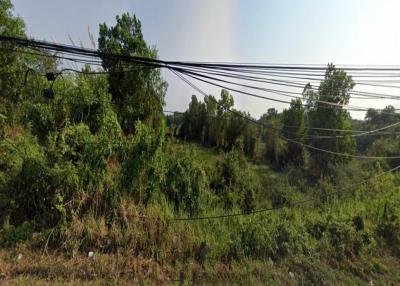 Land for sale - direct on Sukhumvit Road